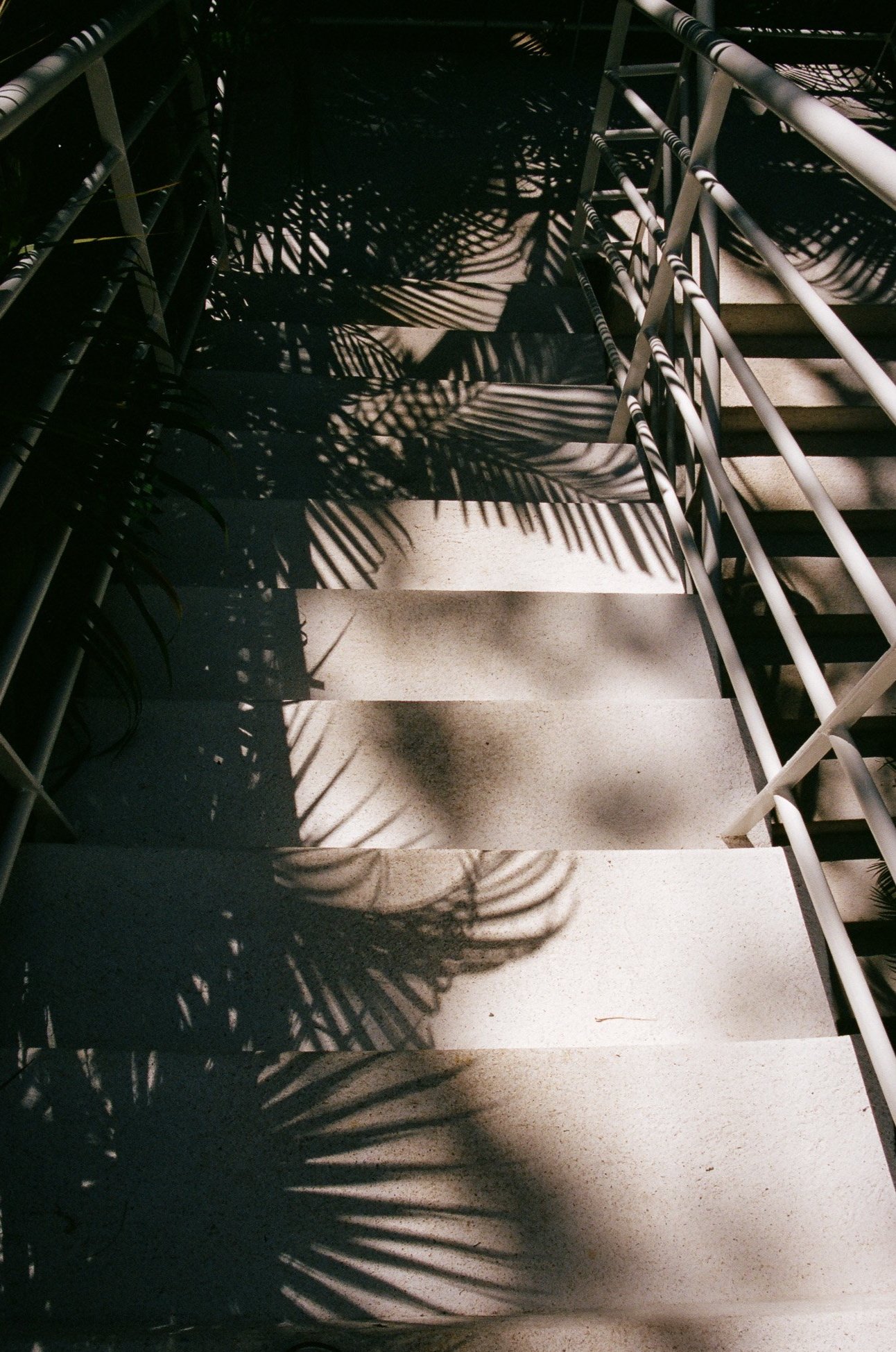 70380010-4.jpg