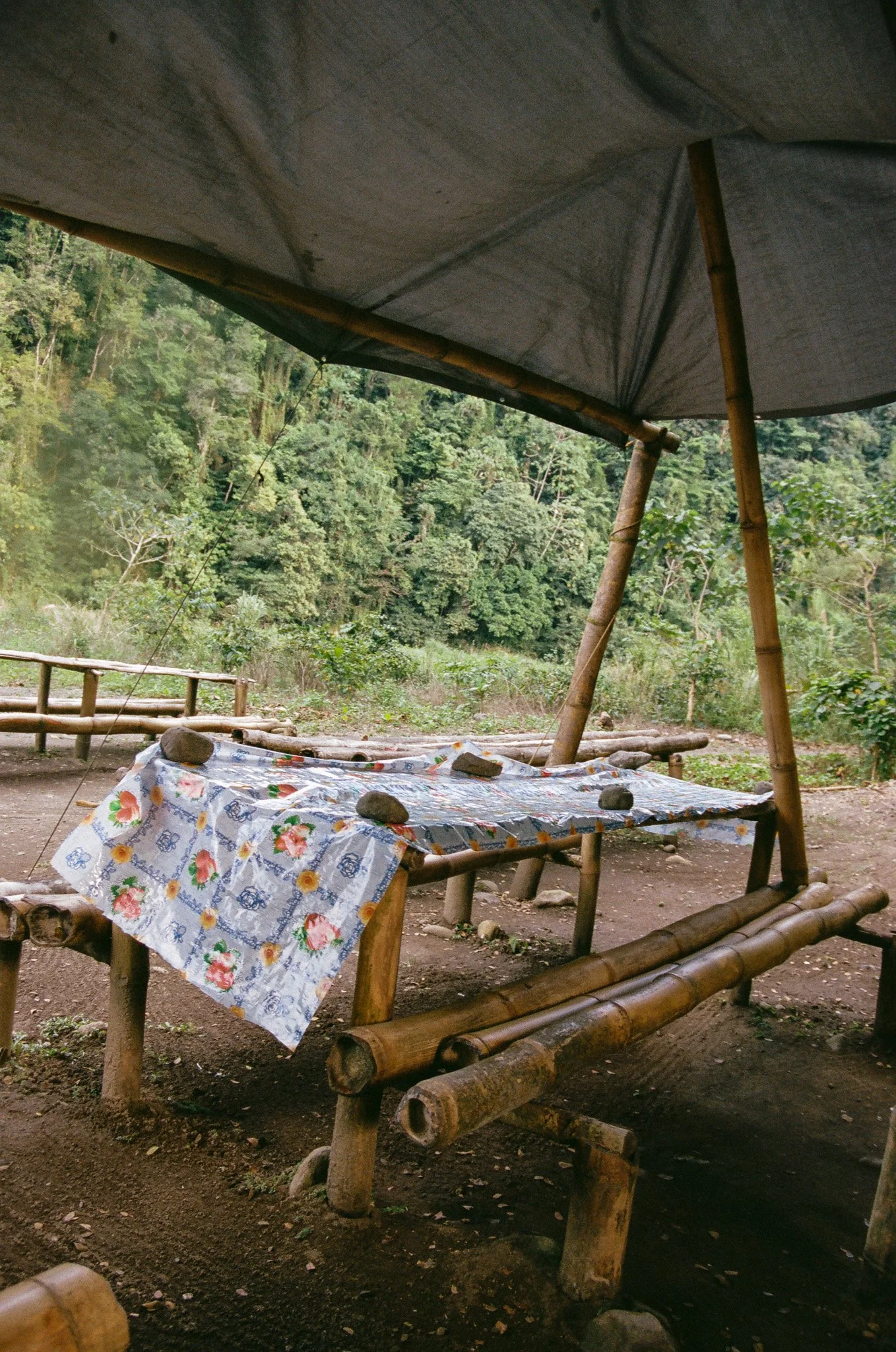 70390027.jpg