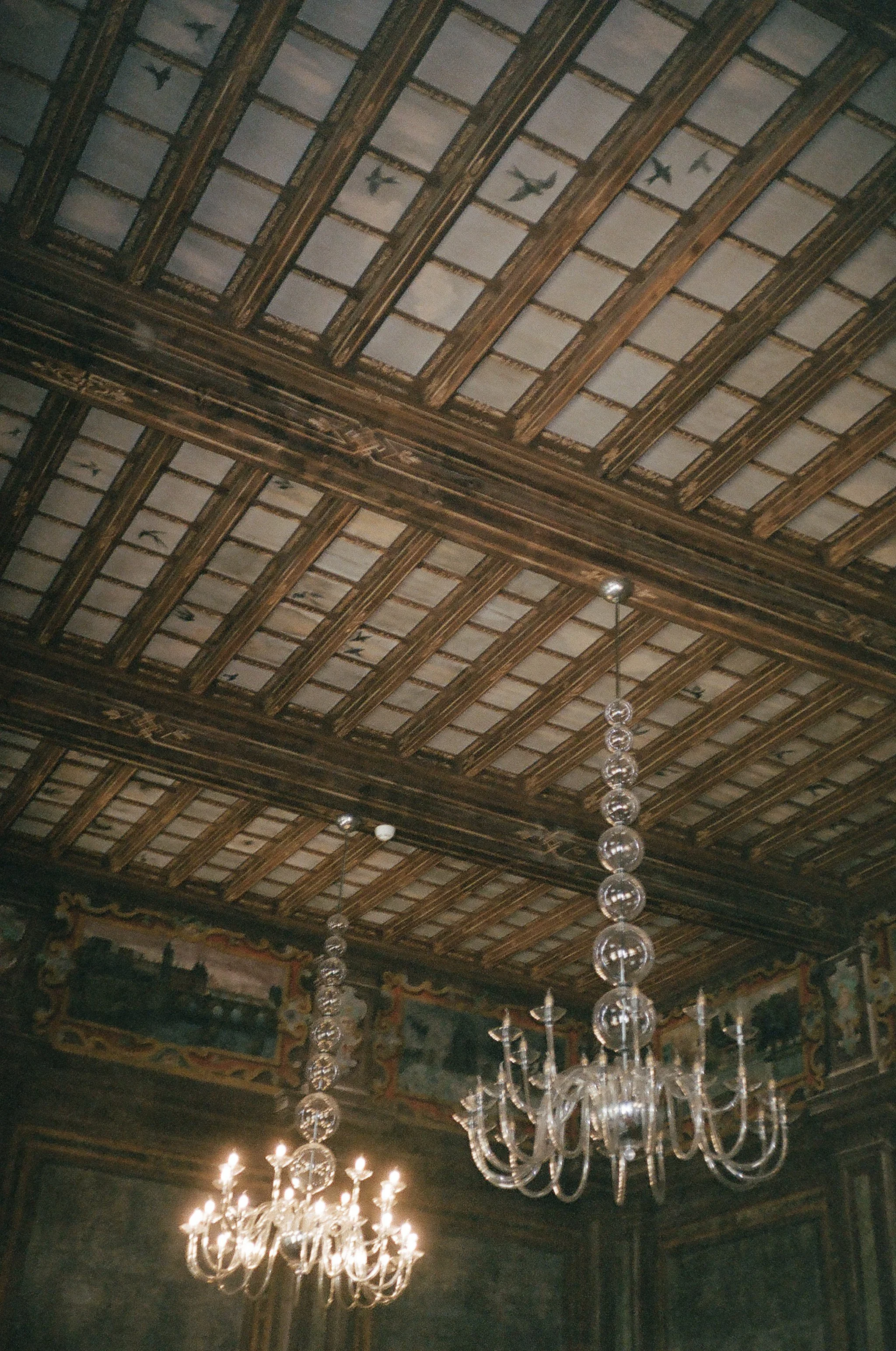 04520019.jpg