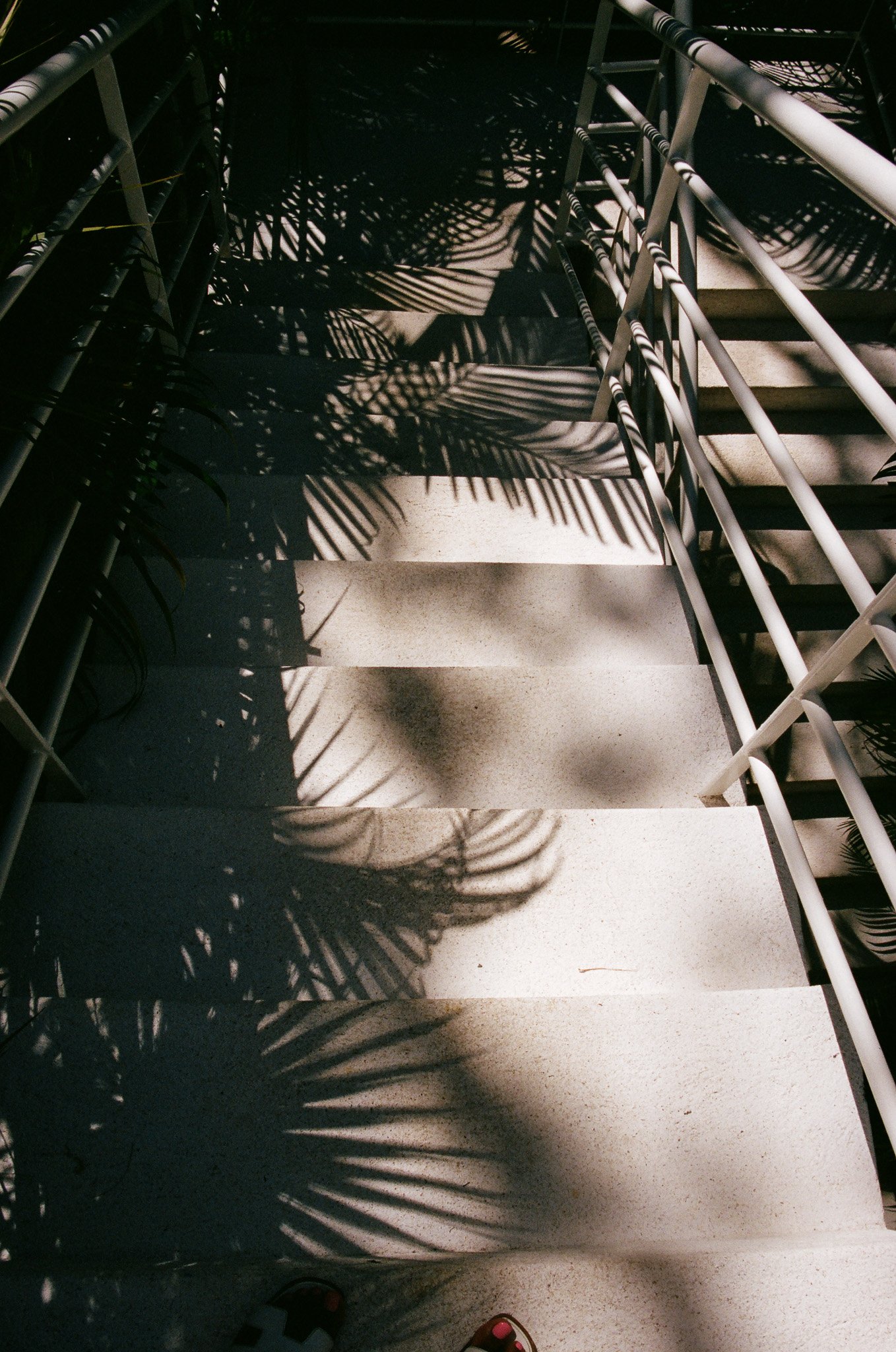 70380010.jpg