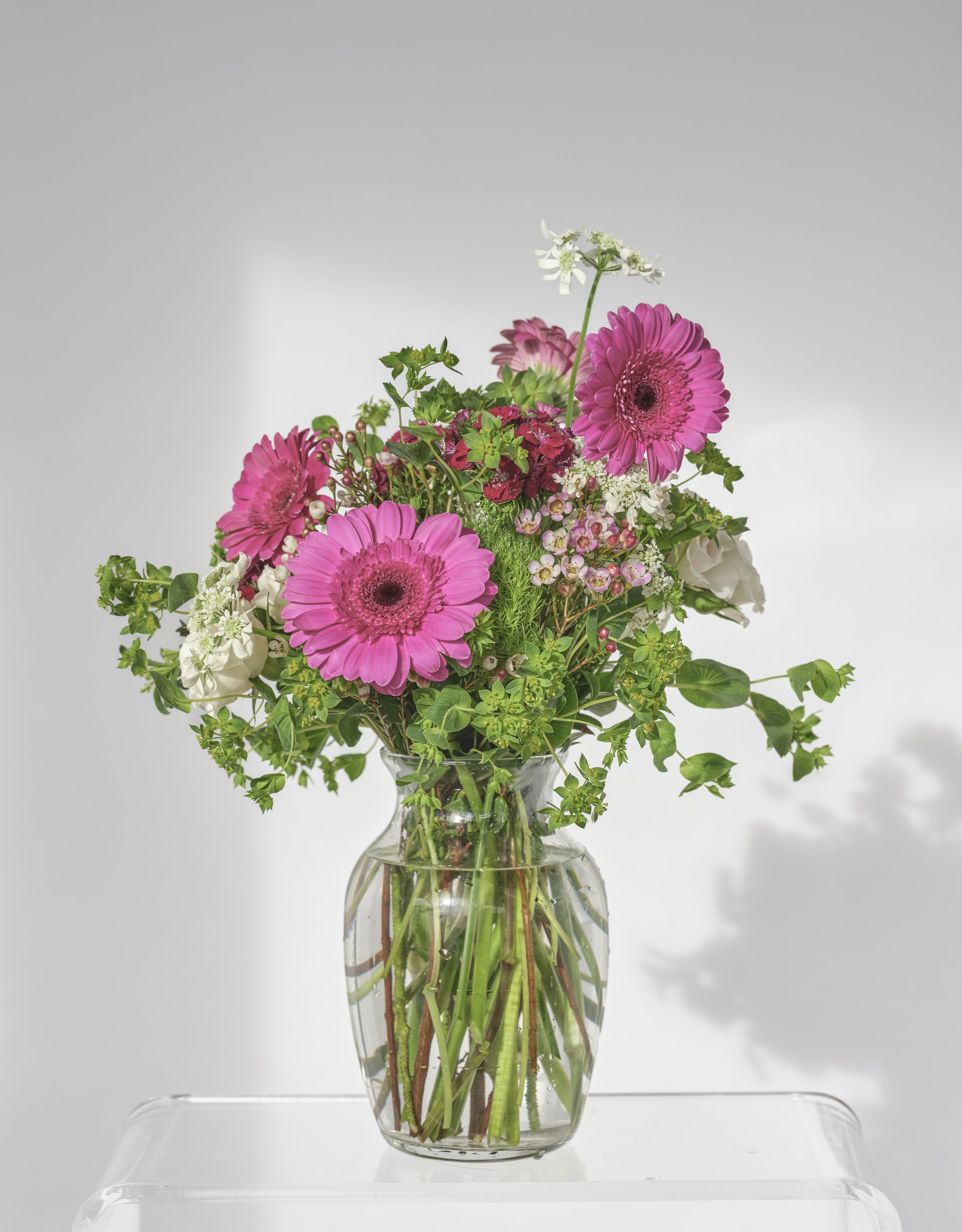tsblooms-17.jpg