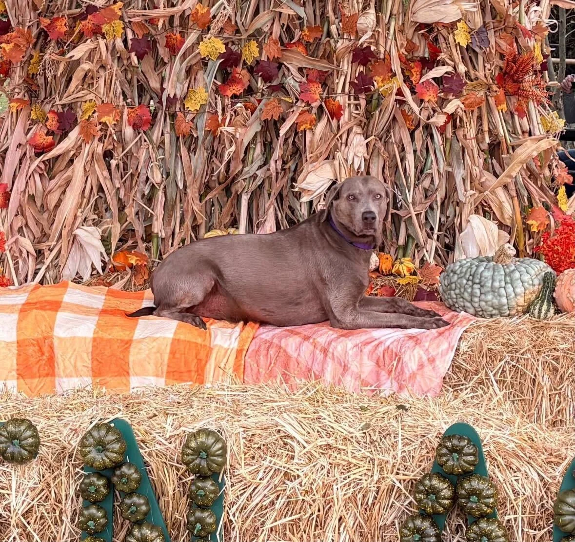 20260928_141431_74205F.jpg