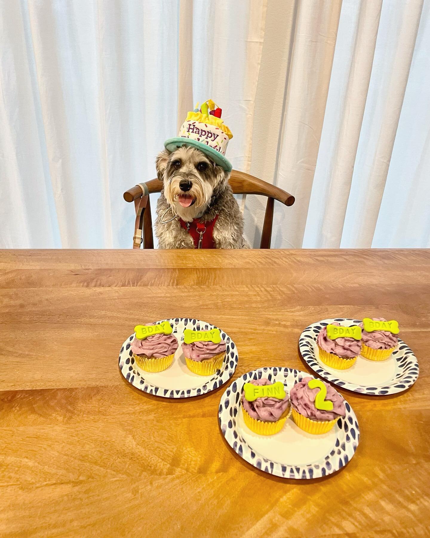 Happy Pawsome 2nd D-Day to our friend Finn! #atx #atxdogs #atxdog #atxdogstagram #dogsofinstagram #dogsofzilkerpark #dogtreats #dogcakes #dogbirthday #birthdaydog #specialdog #petsofinstagram #petstagram #petsagram #cattreats #cats
#dogsitter #happyd