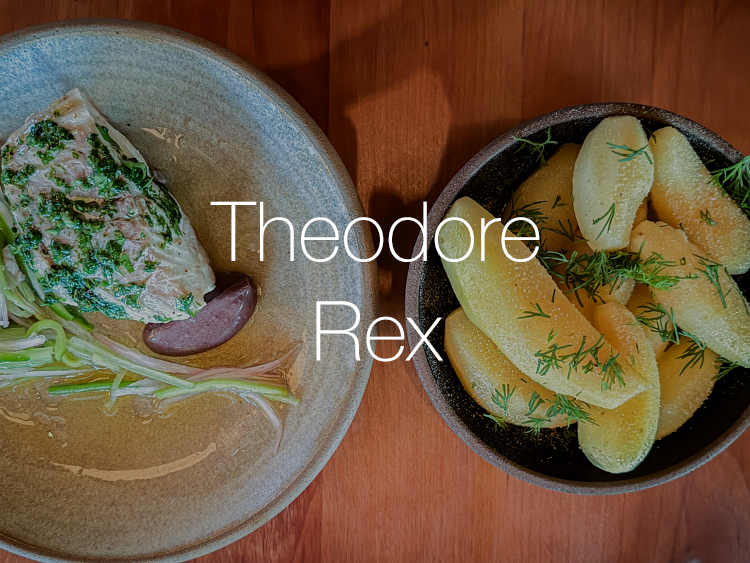 Theodore Rex in Houston