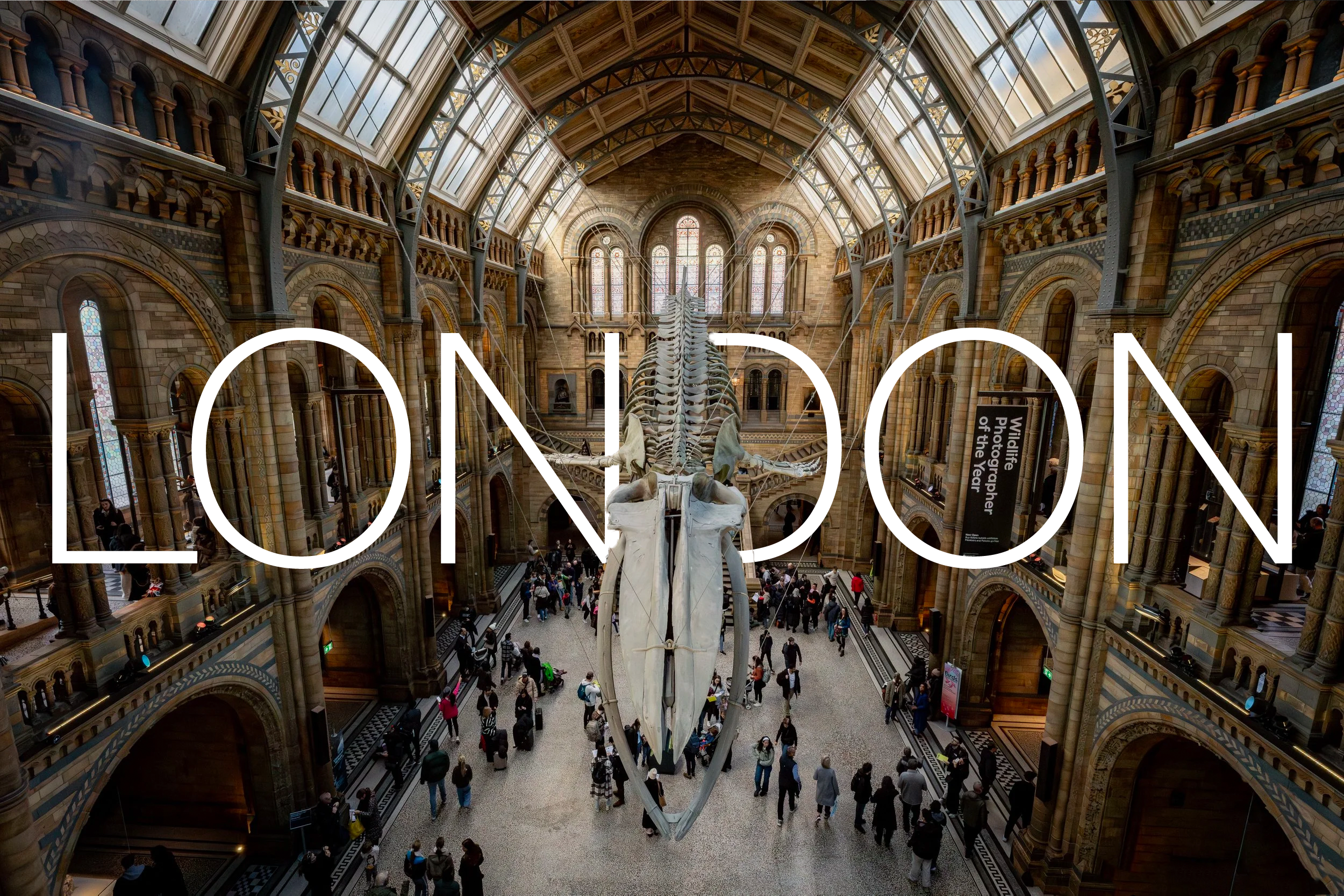 London, ‘24: Photo Essay