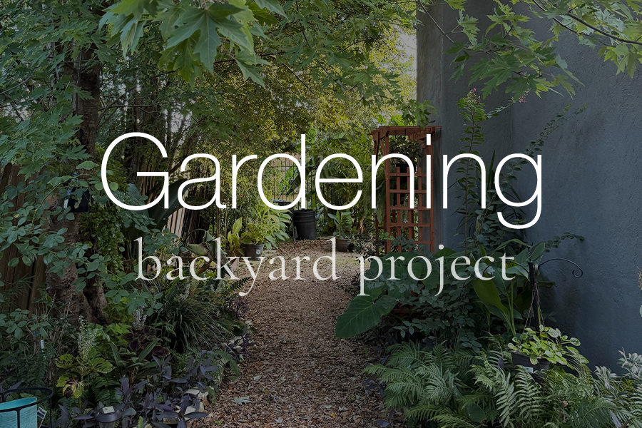 Gardening: Backyard Project