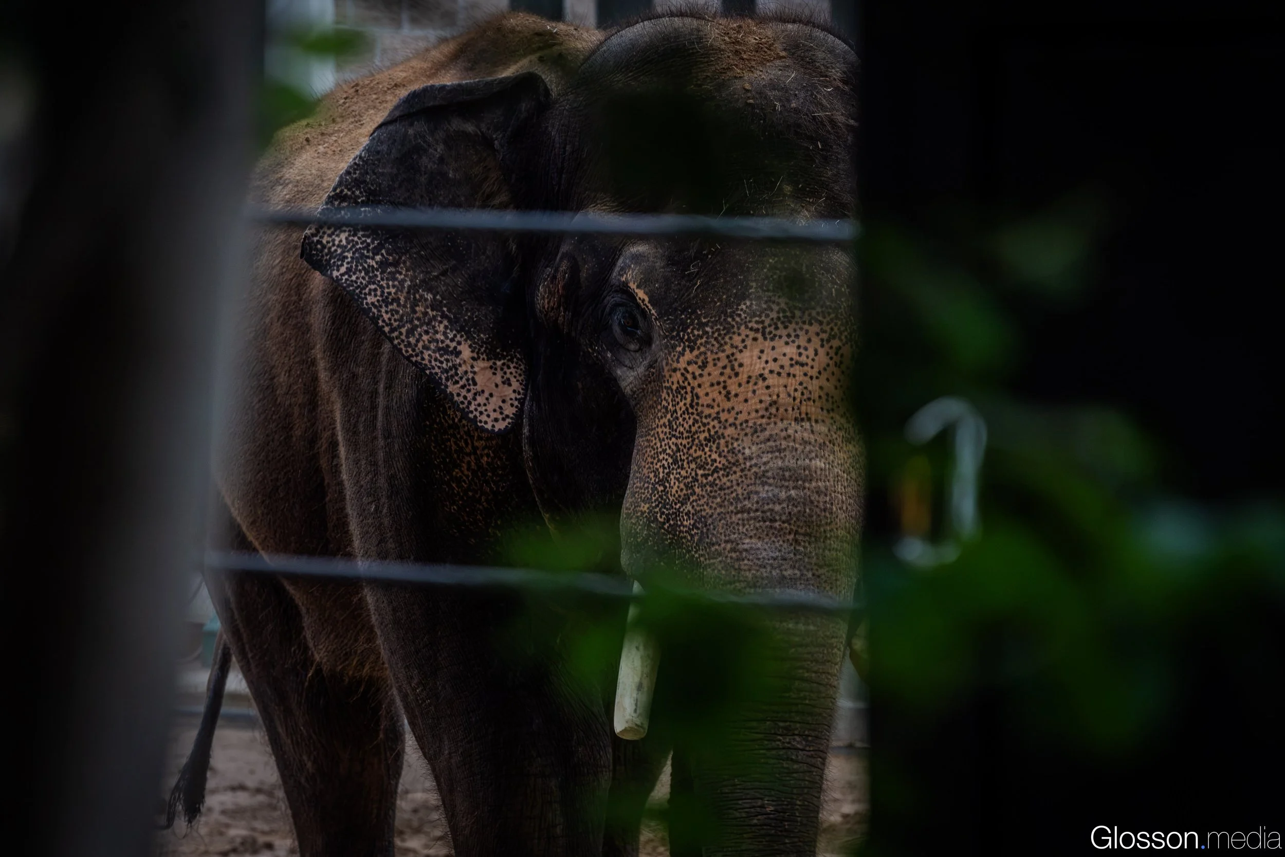 Zoo-1.jpg