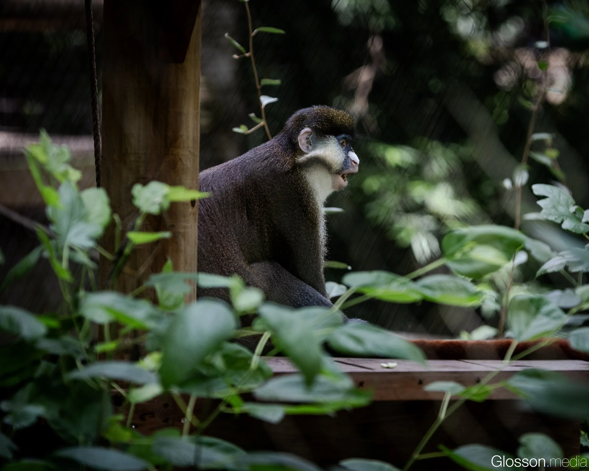 Zoo-5.jpg