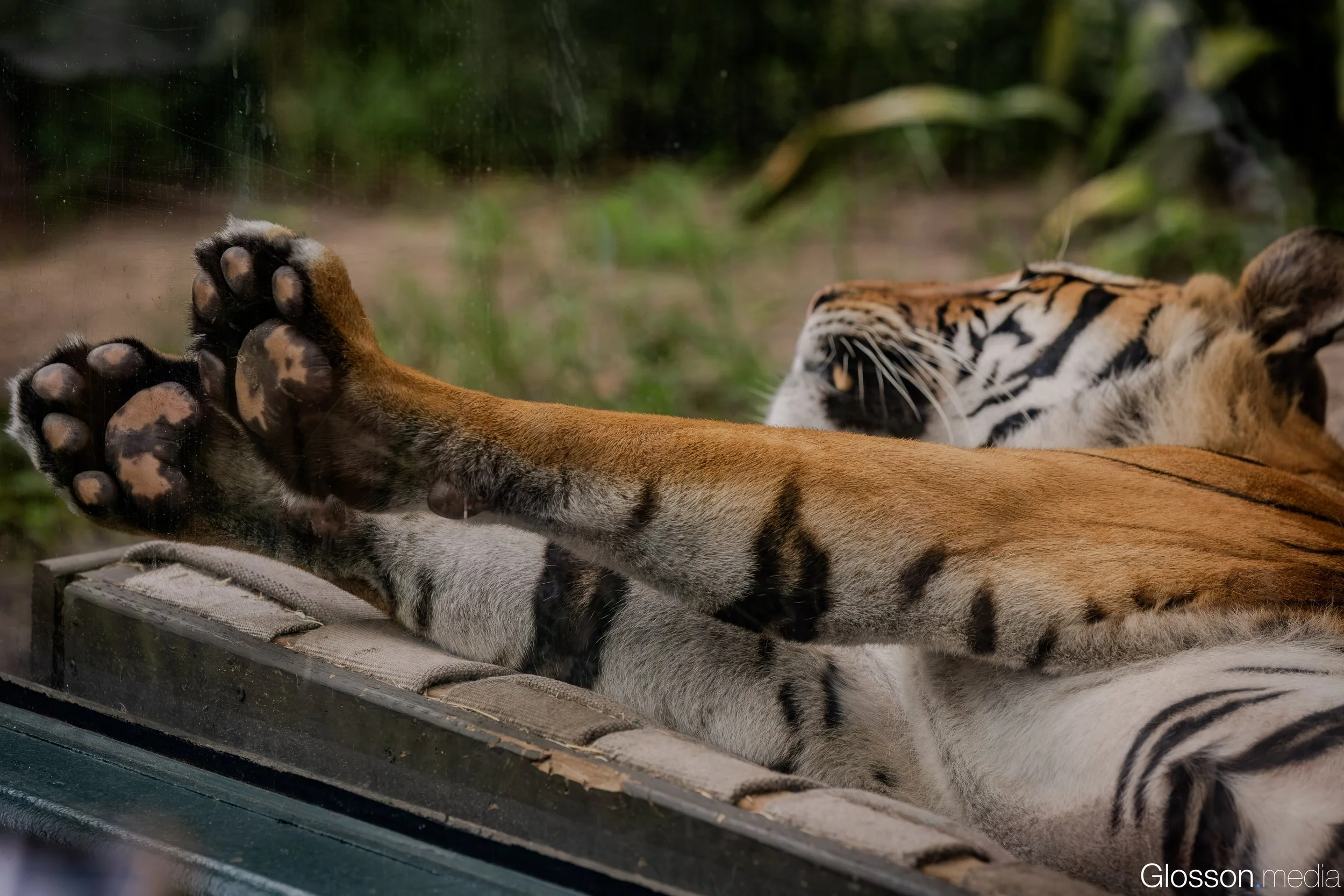 Zoo-12.jpg