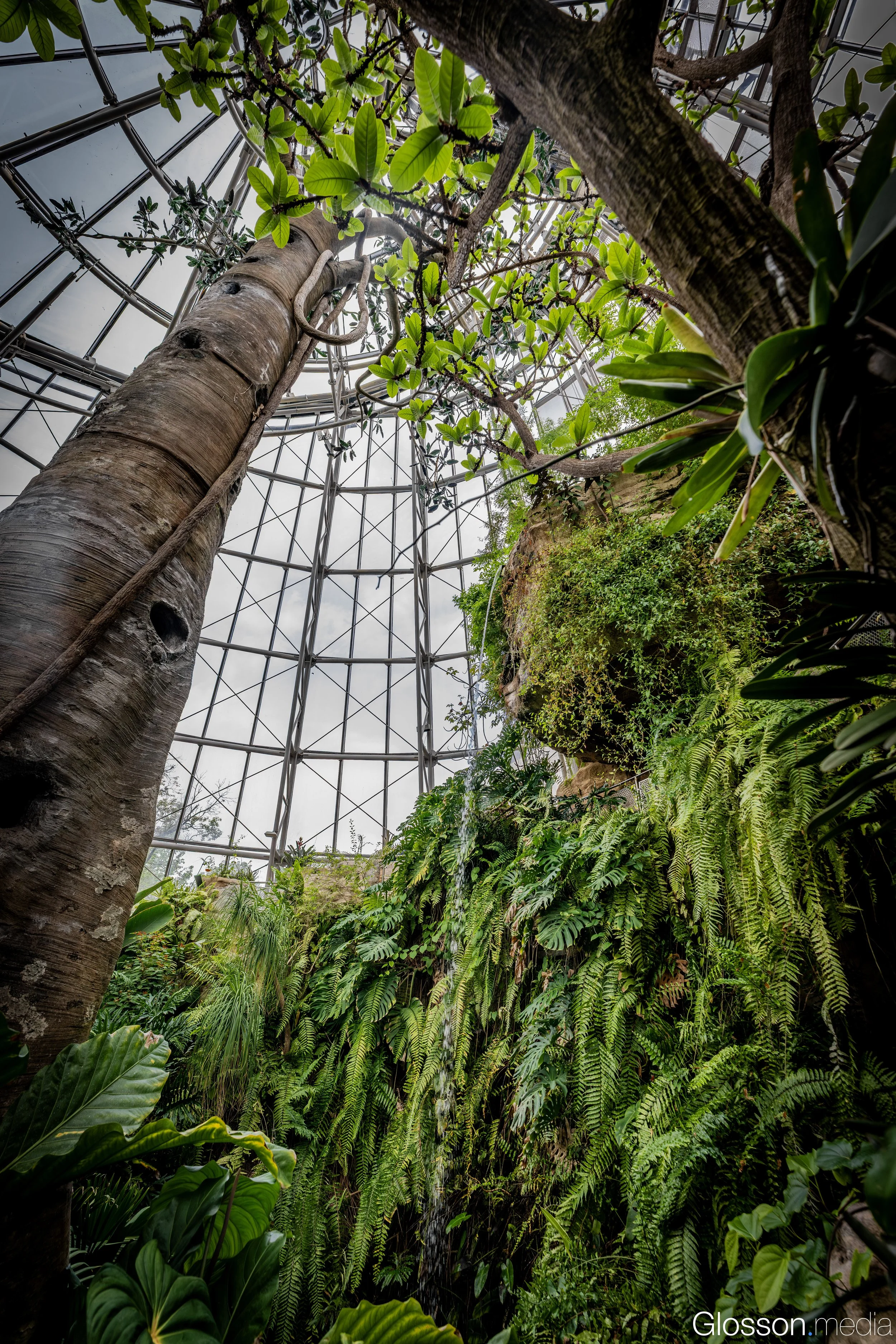 Butterfly-Center-Houston-Glosson-2.jpg