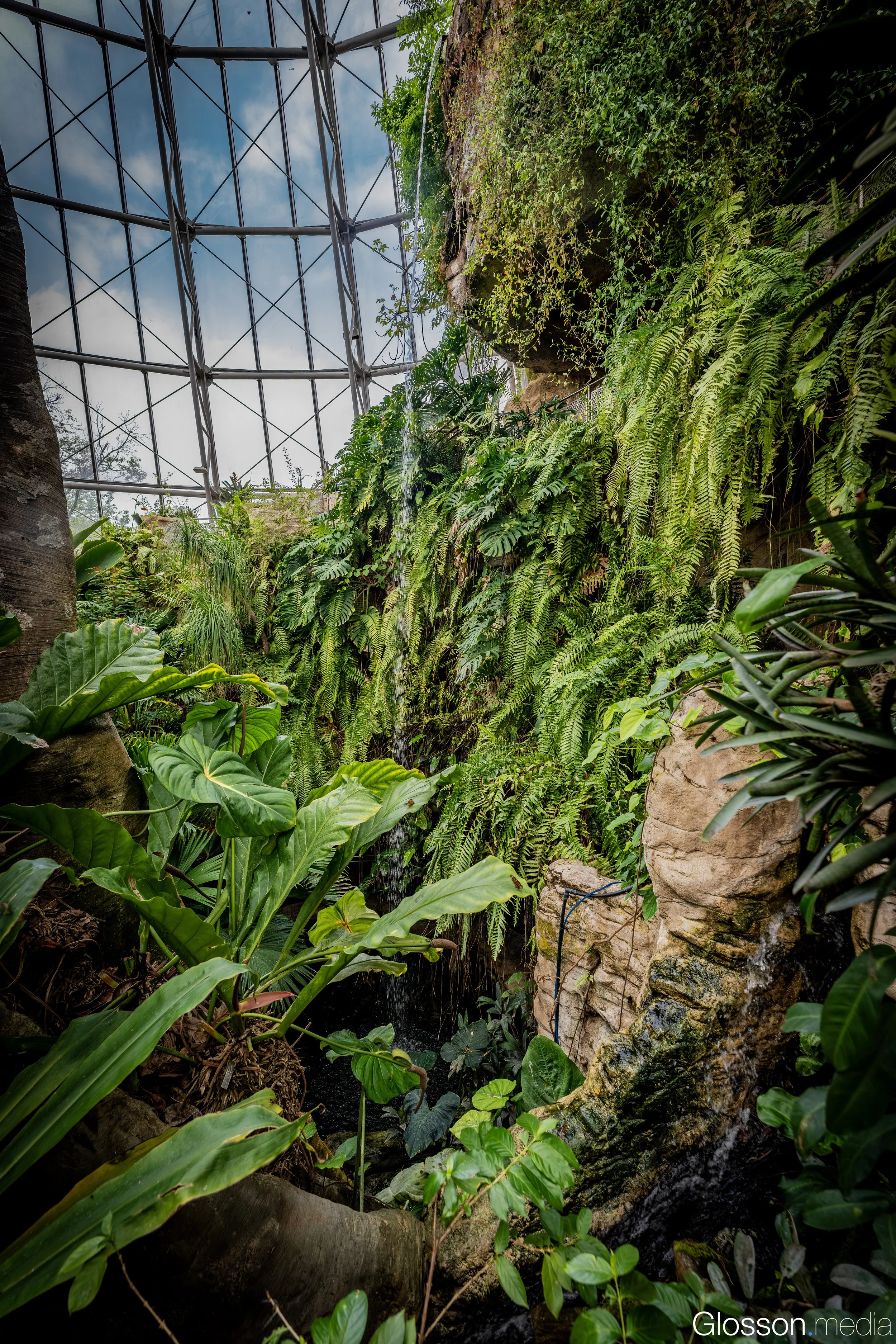 Butterfly-Center-Houston-Glosson-3.jpg