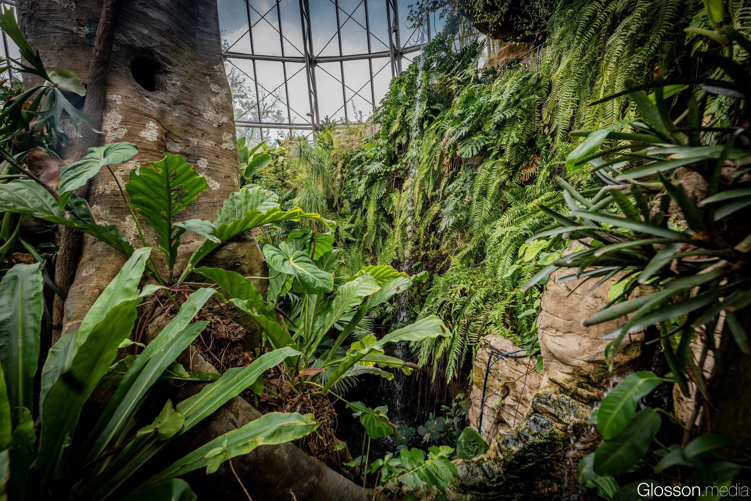 Butterfly-Center-Houston-Glosson-4.jpg