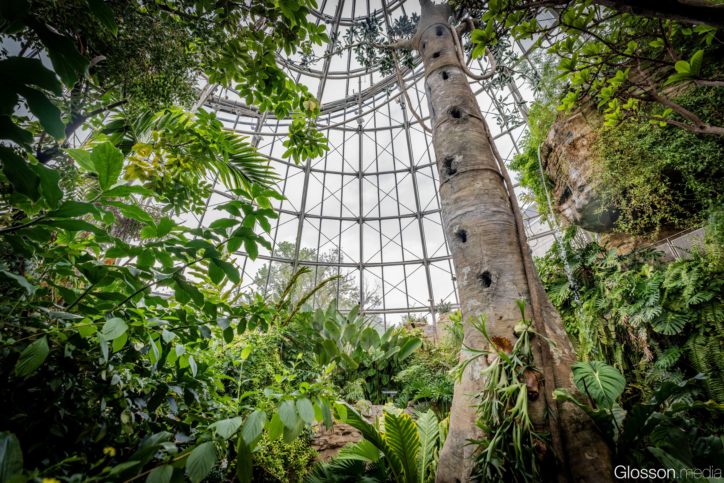 Butterfly-Center-Houston-Glosson-5.jpg