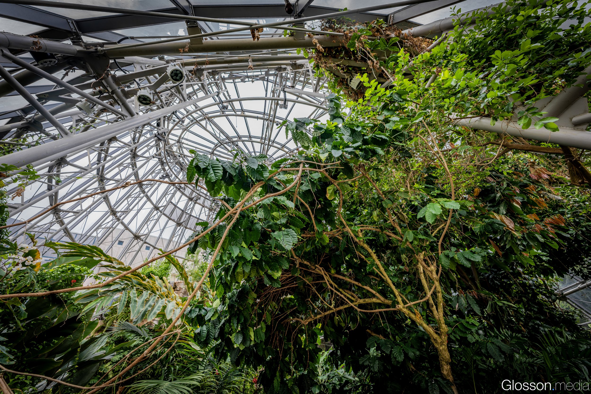 Butterfly-Center-Houston-Glosson-9.jpg