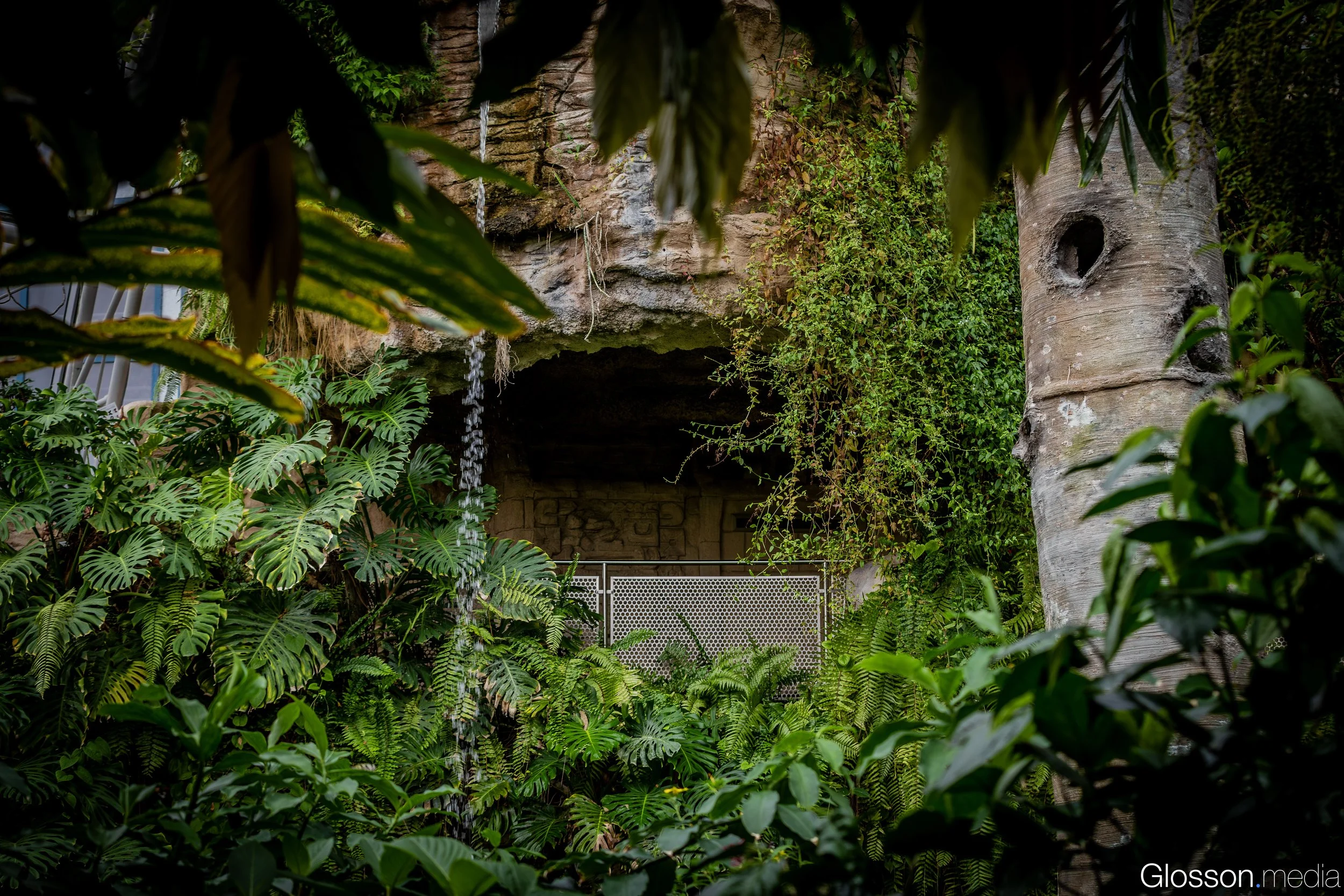 Butterfly-Center-Houston-Glosson-12.jpg