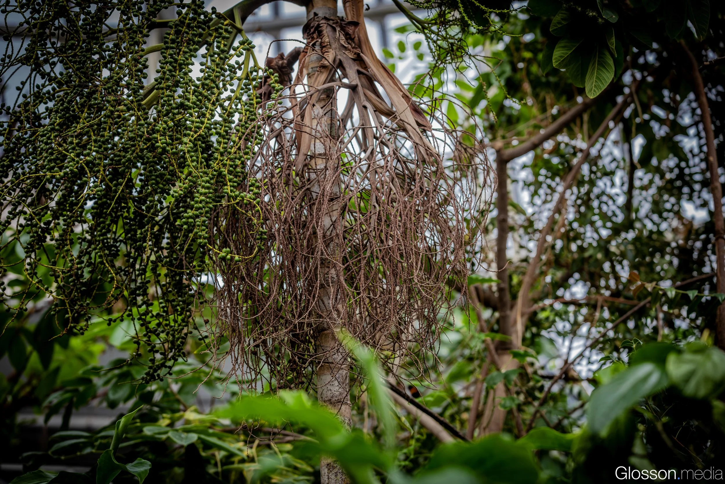 Butterfly-Center-Houston-Glosson-13.jpg