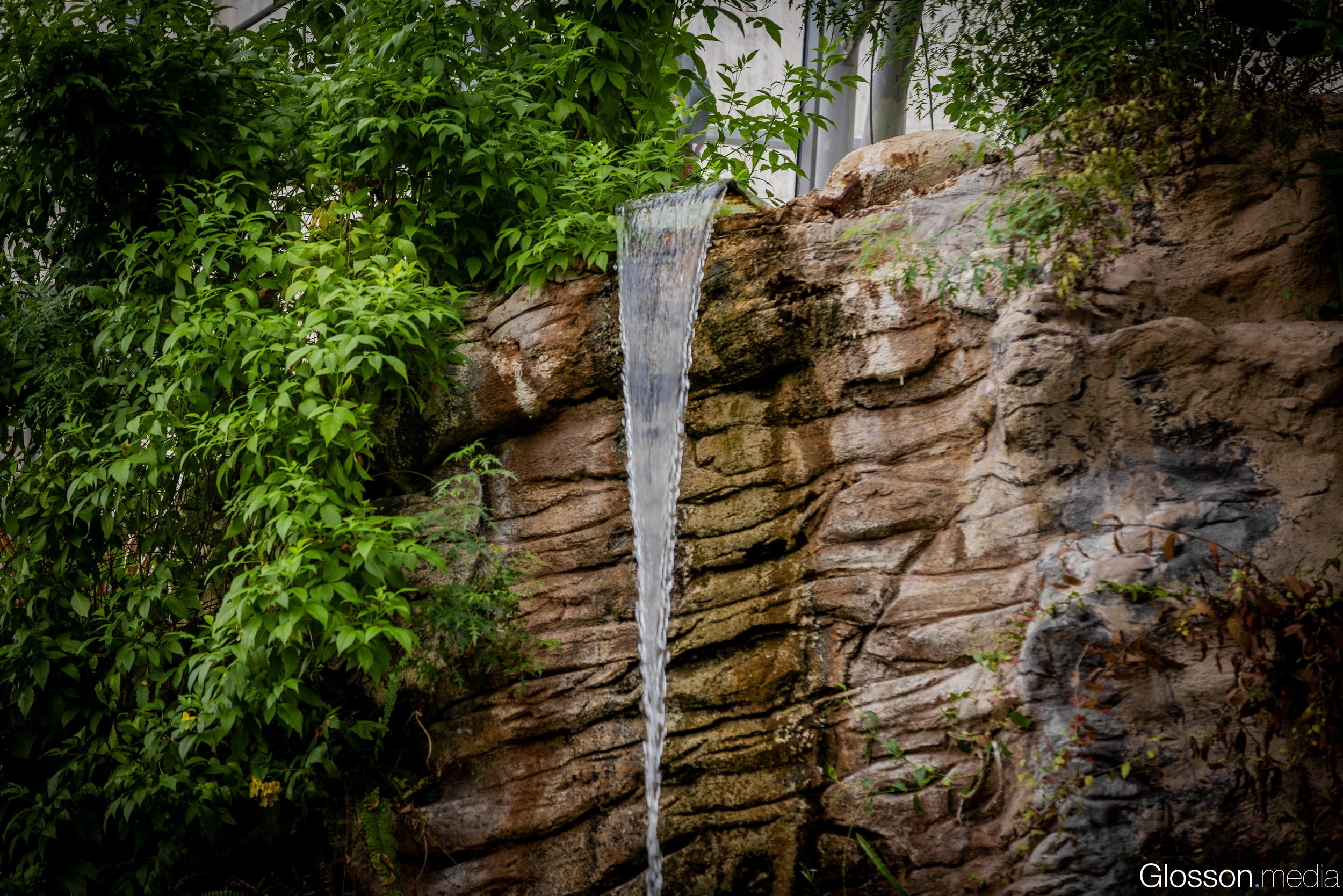 Butterfly-Center-Houston-Glosson-15.jpg