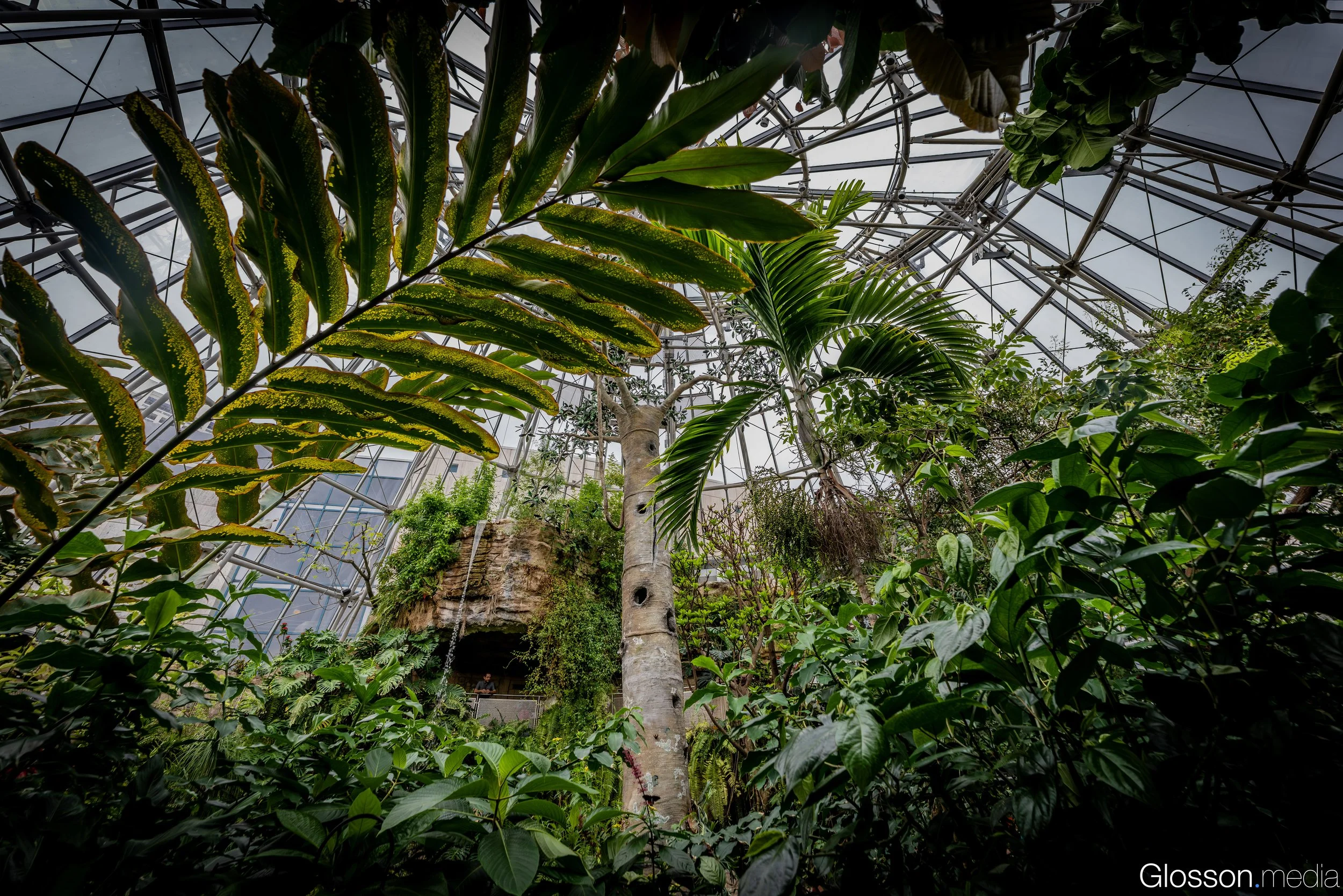 Butterfly-Center-Houston-Glosson-16.jpg