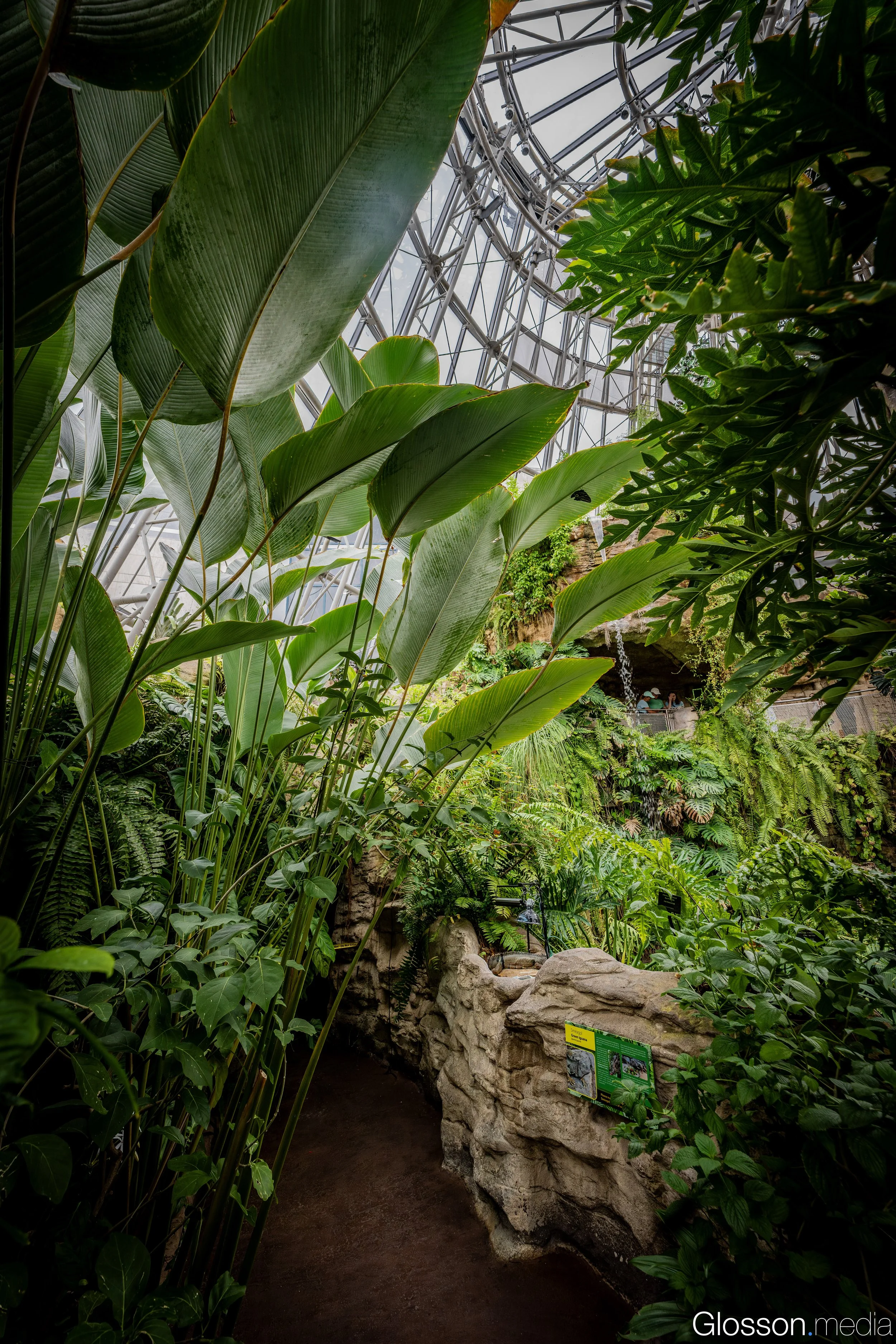 Butterfly-Center-Houston-Glosson-17.jpg