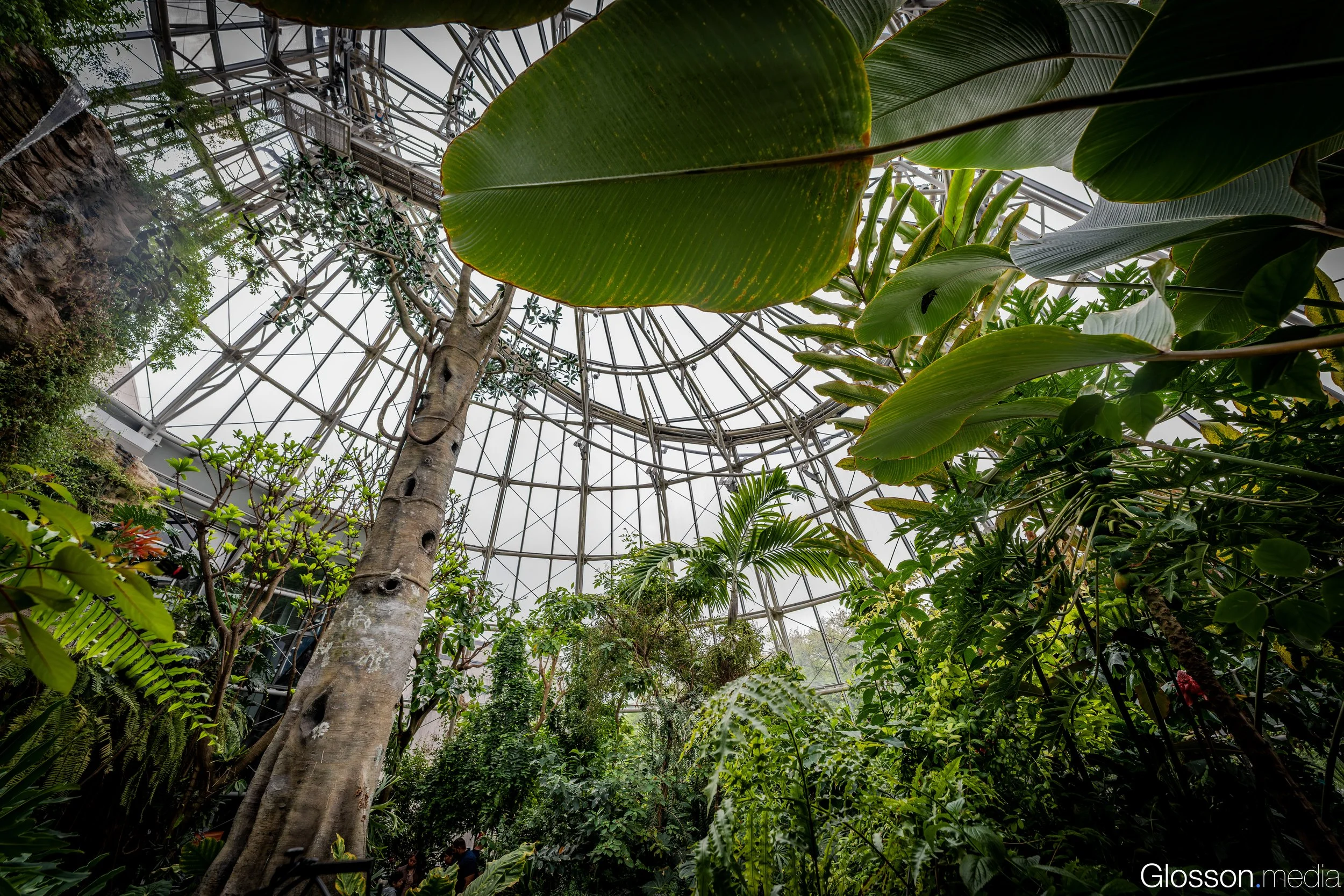 Butterfly-Center-Houston-Glosson-21.jpg