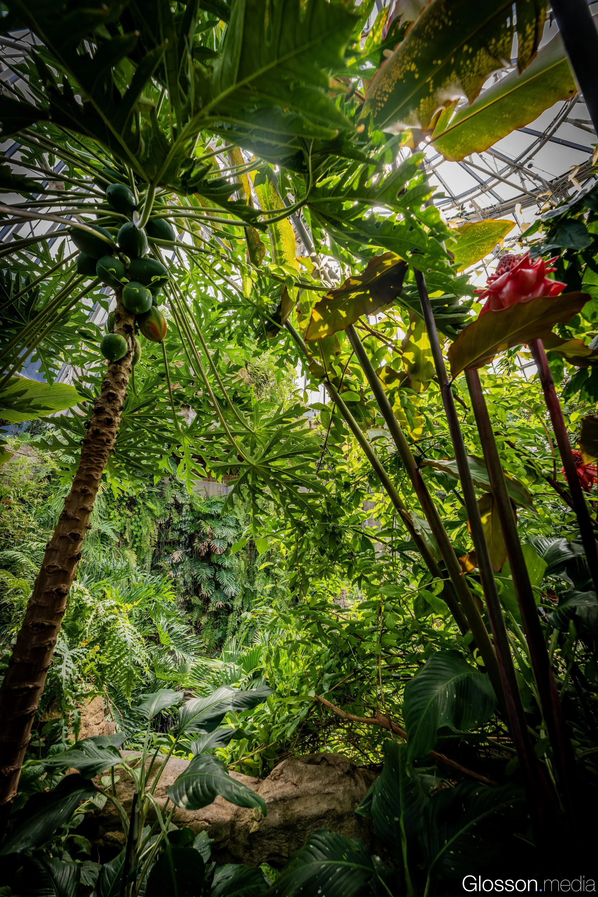 Butterfly-Center-Houston-Glosson-30.jpg