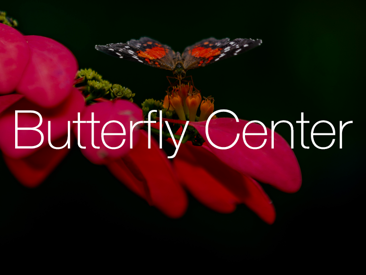 Cockrell Butterfly Center in Houston