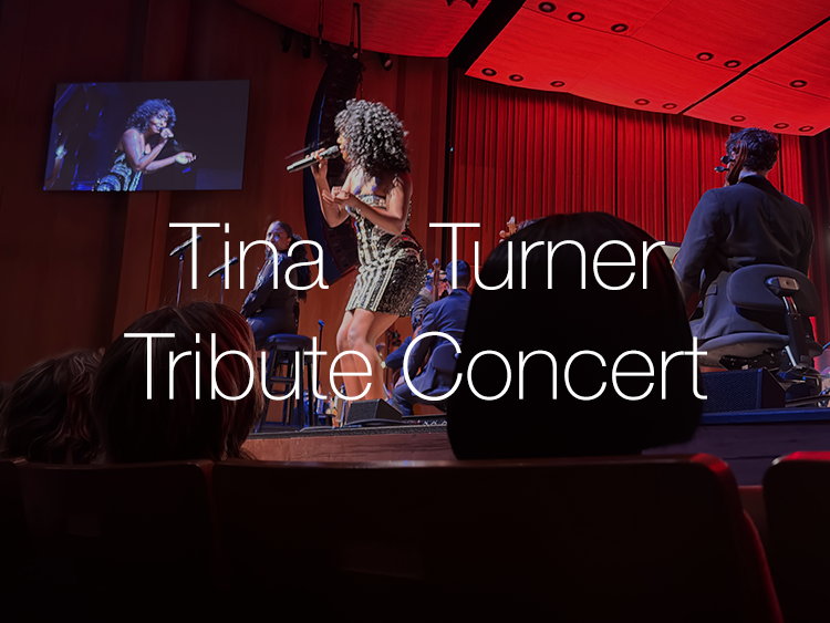 Tina Turner Tribute by the Houston Symphony