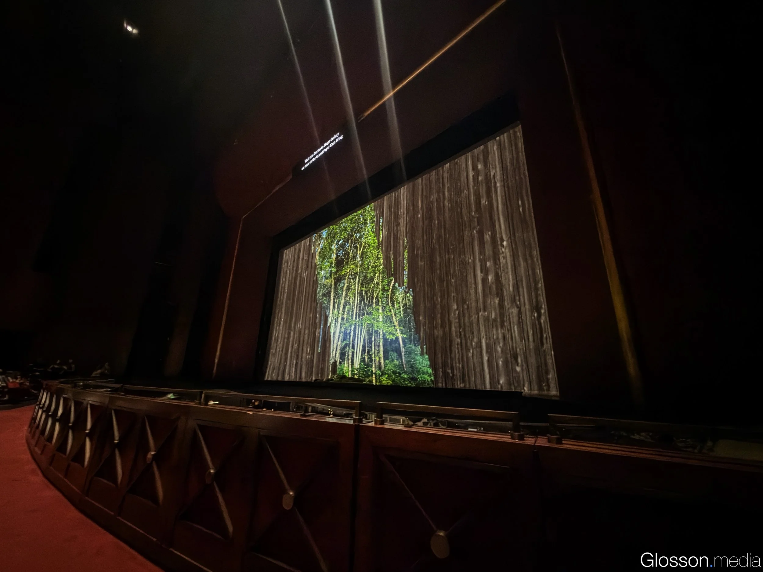 Susannah-Houston Grand Opera-Glosson-3.jpg