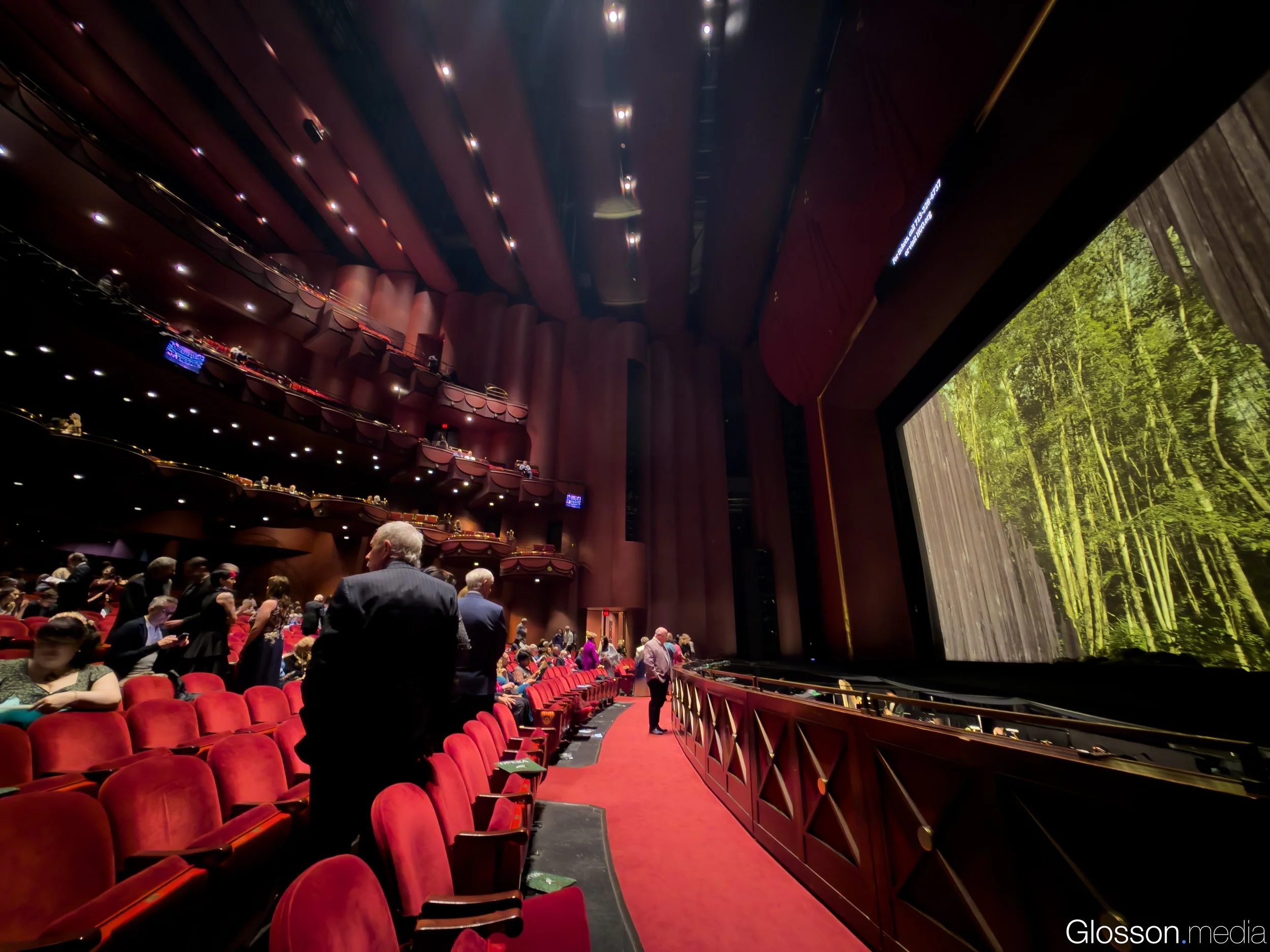 Susannah-Houston Grand Opera-Glosson-4.jpg