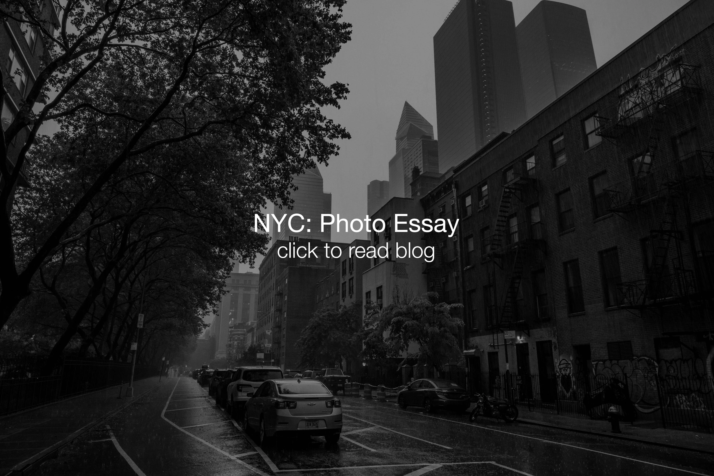 A black and white photo of Manhattan cityscape with tall skyscrapers shrouded in fog, trees lining a wet street, parked cars, and a sidewalk with graffiti-covered buildings.
