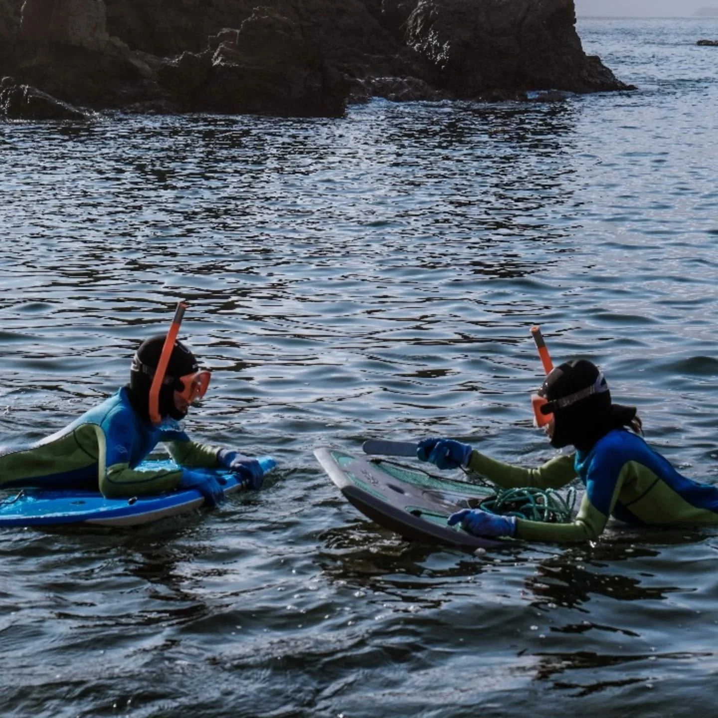 Getting acquainted with their new home. 

#saltylife #freediving #coastalforaging #photography