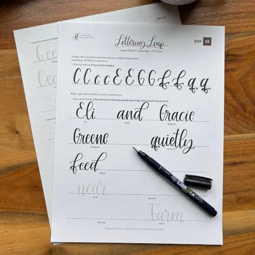 Beginner Calligraphy Alphabet Handwriting