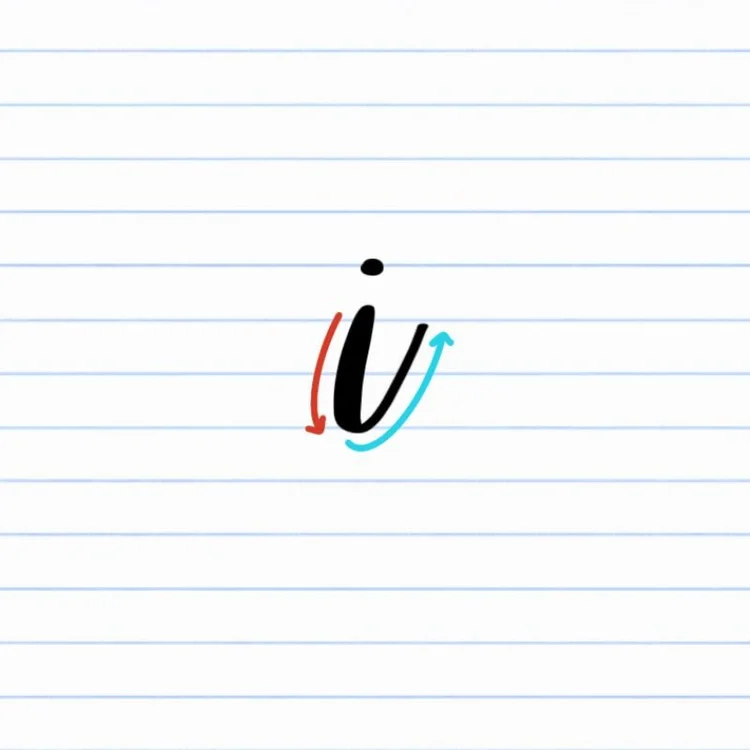 Calligraphy I: Uppercase, Lowercase, Strokes & Practice