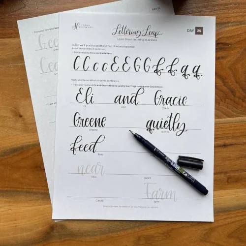 Best Way to Practice Calligraphy for Professionals