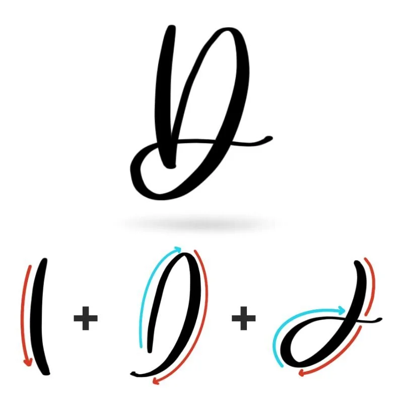 Capital Calligraphy D Basic Strokes