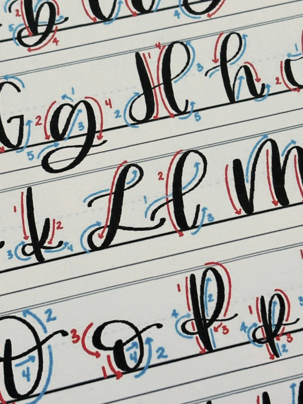 Letter L in Calligraphy