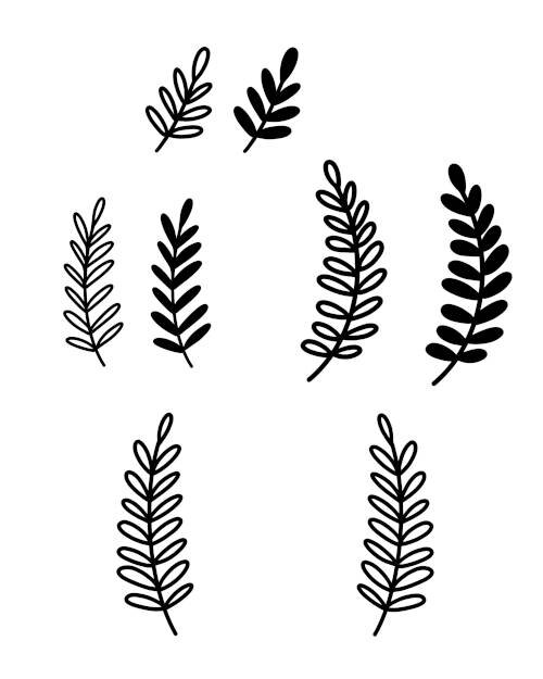 Ferns SVG Heinen Designs