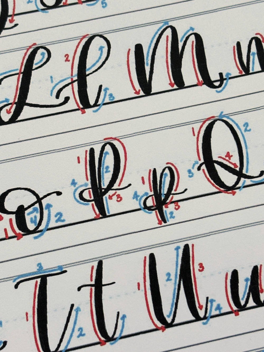 Letter P in Calligraphy