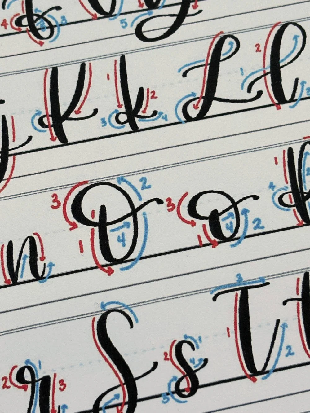 Letter O in Calligraphy