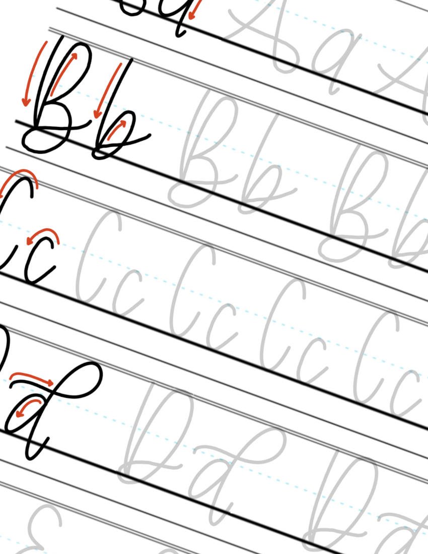 B-C-D Monoline Calligraphy Sheet