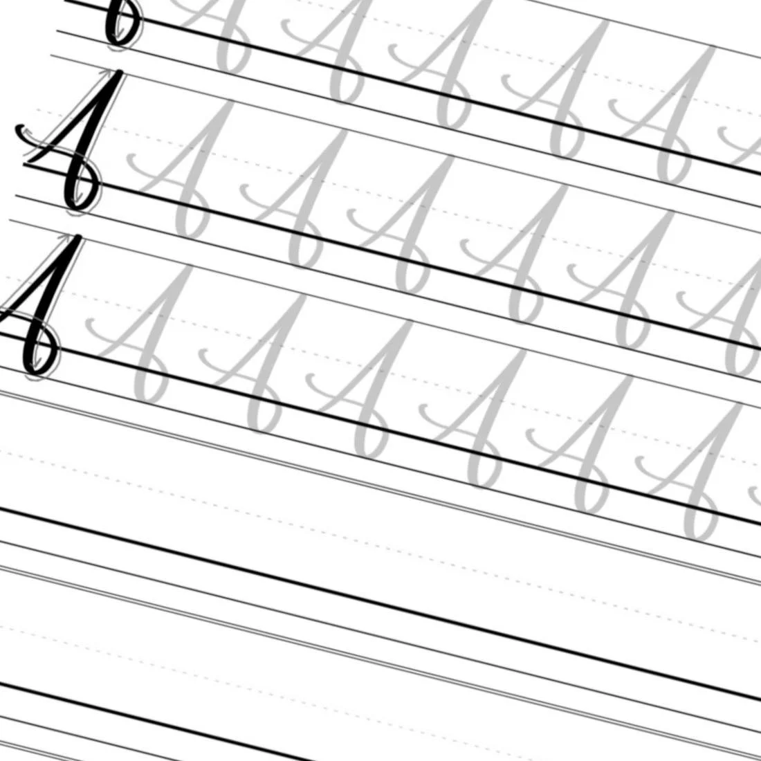 Complete Modern Calligraphy Practice eBook PDF Download