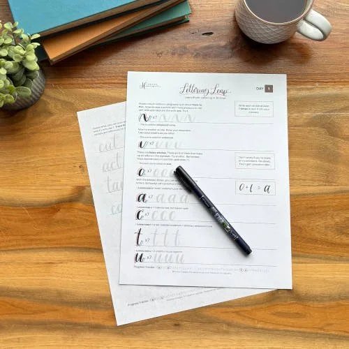 Calligraphy Alphabet Step-by-Step Roadmap