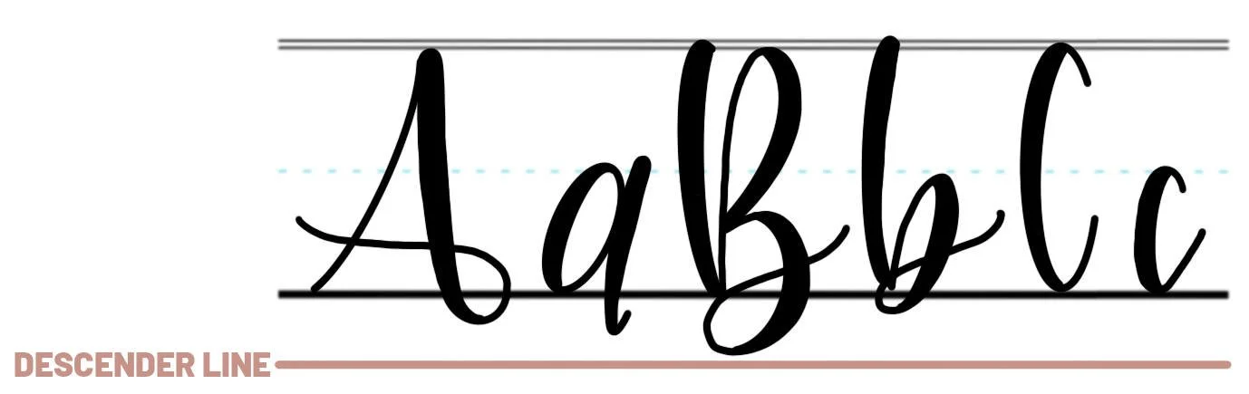 Understanding Calligraphy Guidelines & Typography