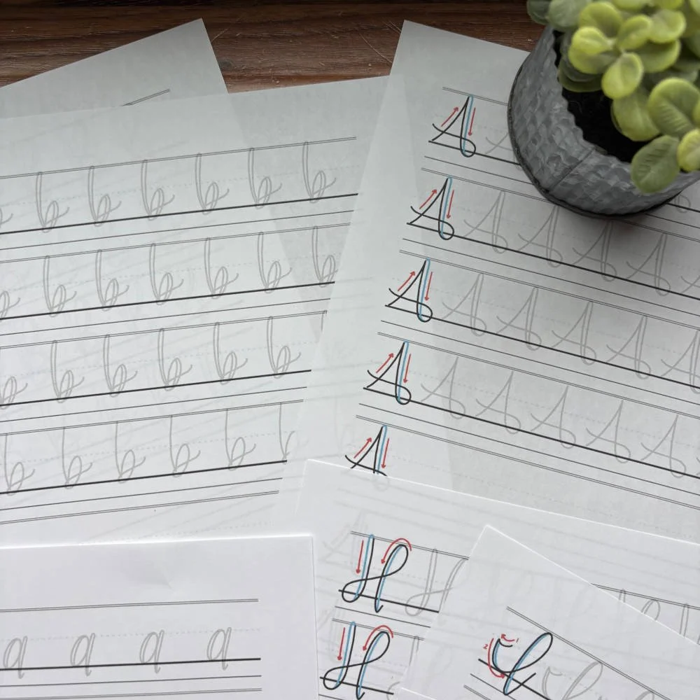 Faux Calligraphy Workbook Hand-Lettering