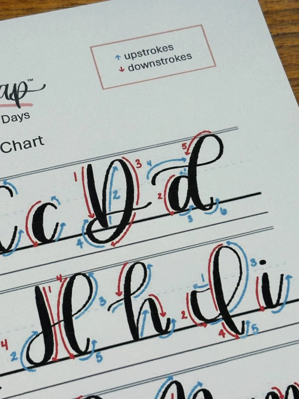 Letter D in Calligraphy
