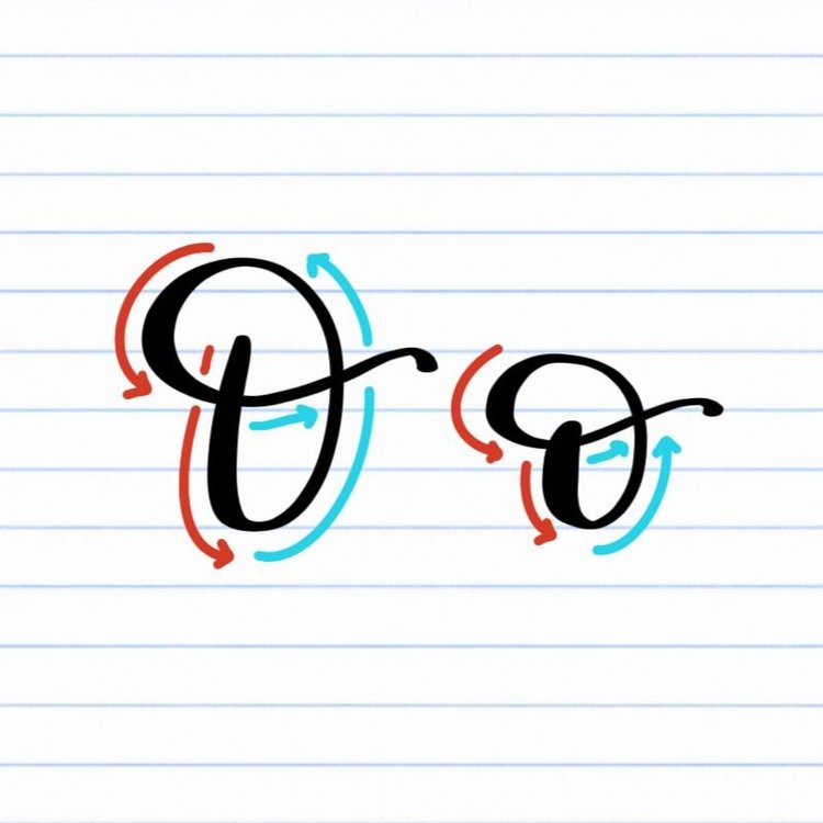 Calligraphy O: Uppercase, Lowercase, Strokes & Practice