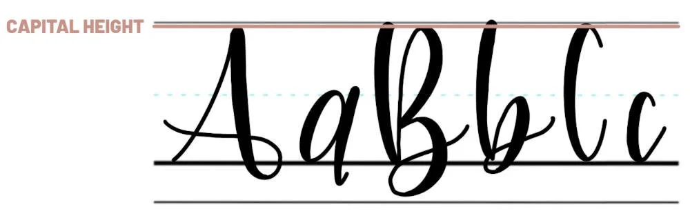 Understanding Calligraphy Guidelines & Typography