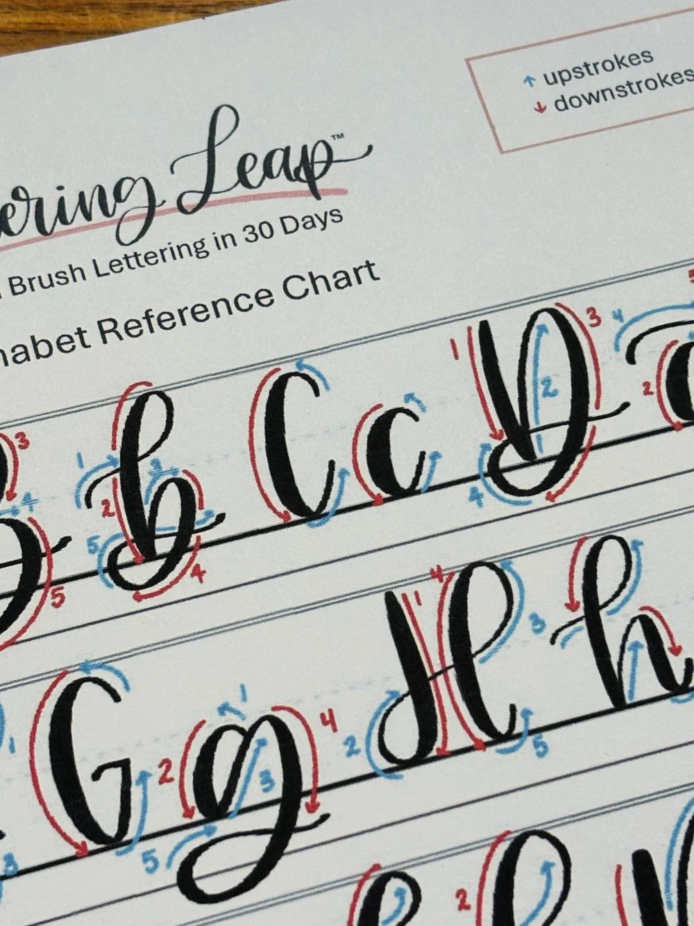 Letter C in Calligraphy