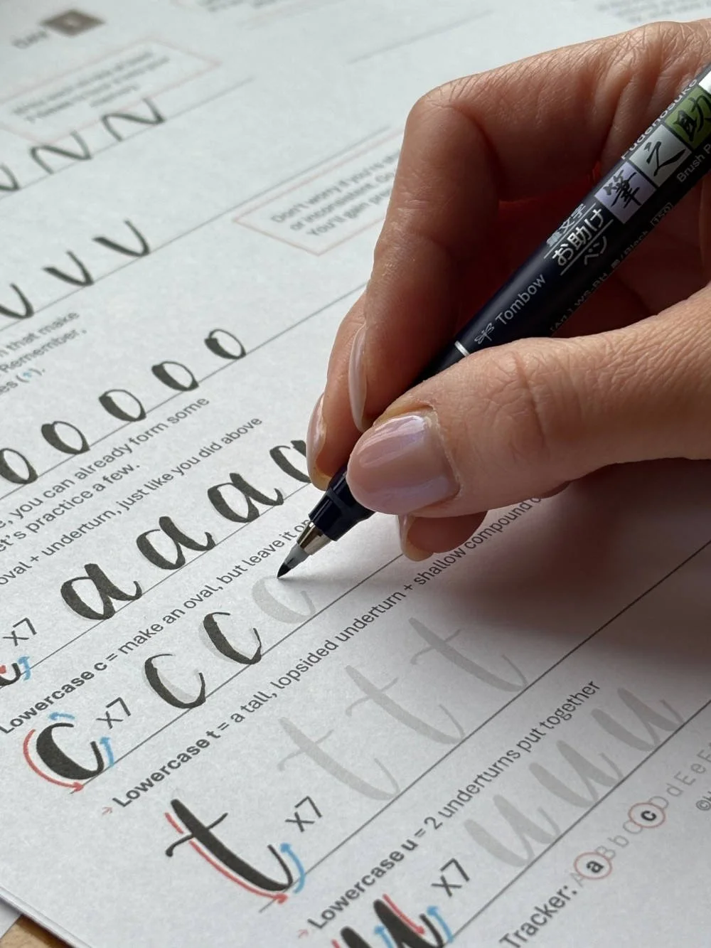 Practicing Calligraphy Alphabet Lettering Leap