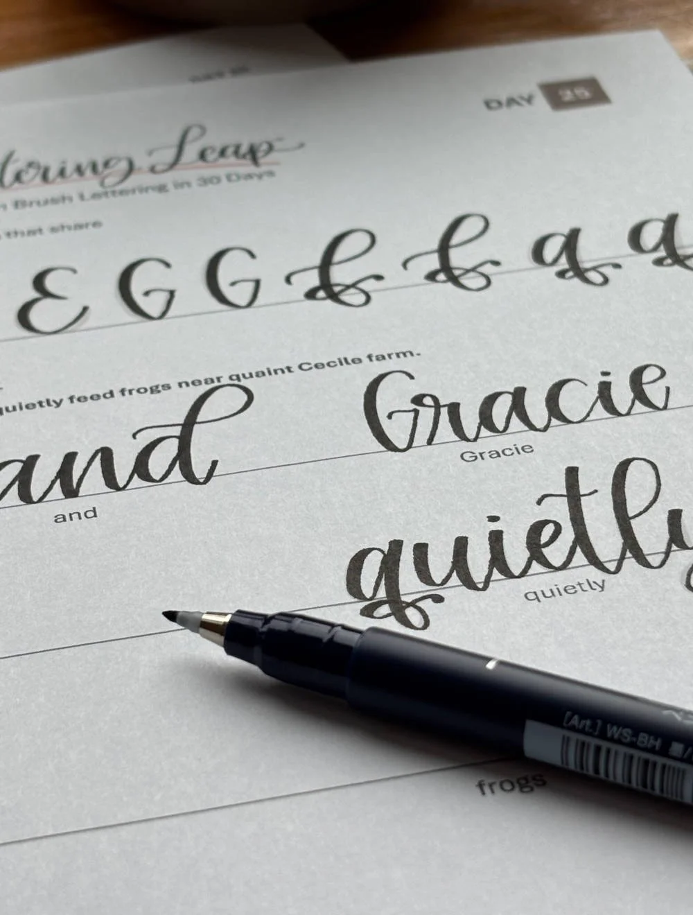 Lettering-Leap-Calligraphy-Course-Page.jpg